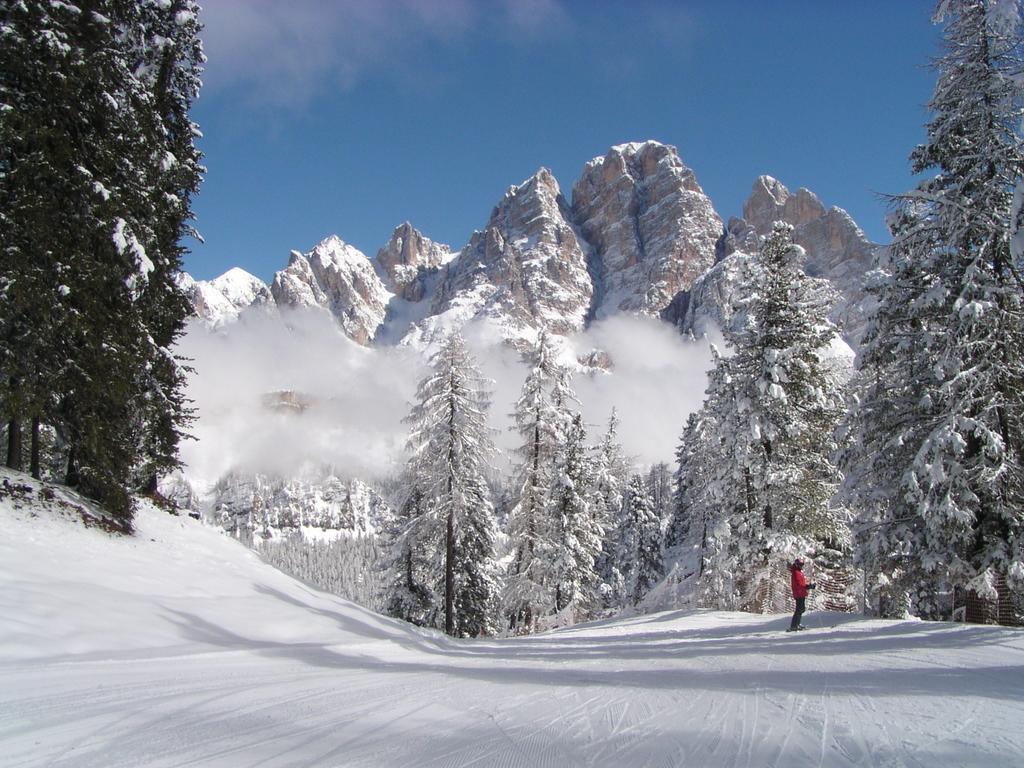 Villa Olimpia - Stayincortina Cortina d'Ampezzo Ngoại thất bức ảnh